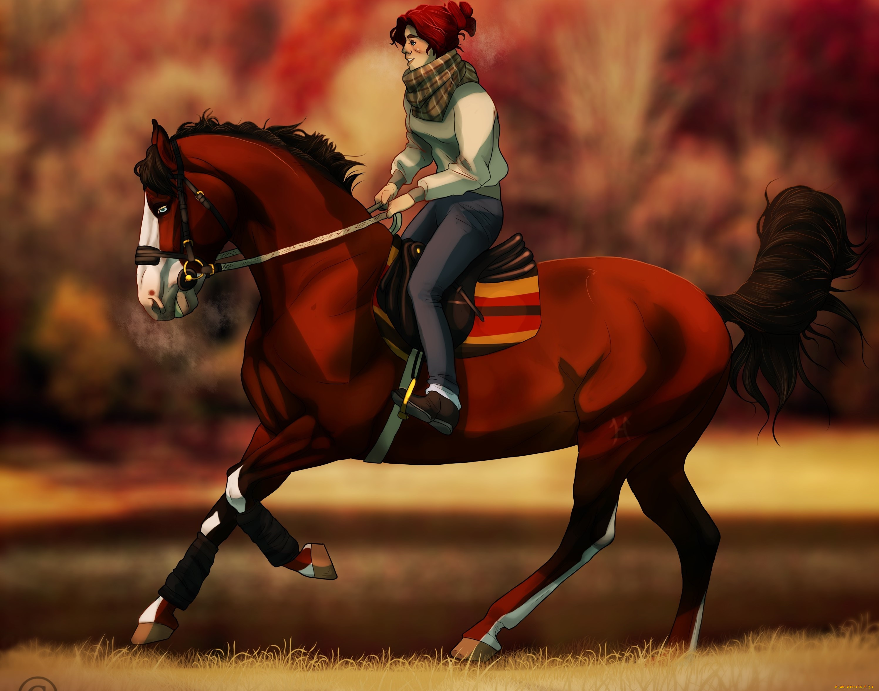 Наездник фф. Всадник с лошадью. Наездник на лошади. Конь и всадник. Конь с наездником.